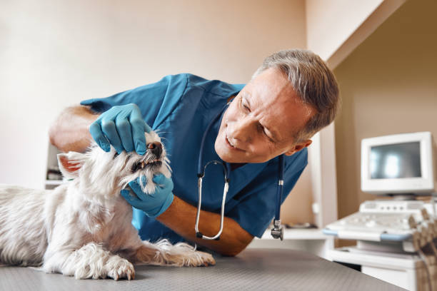 Best Weekend Emergency Dentist in Vinings, GA
